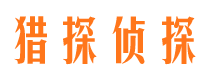 新田市调查公司